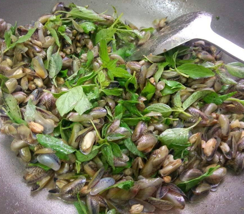 金不换炒薄壳