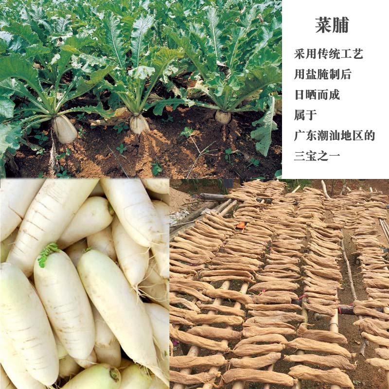 菜脯