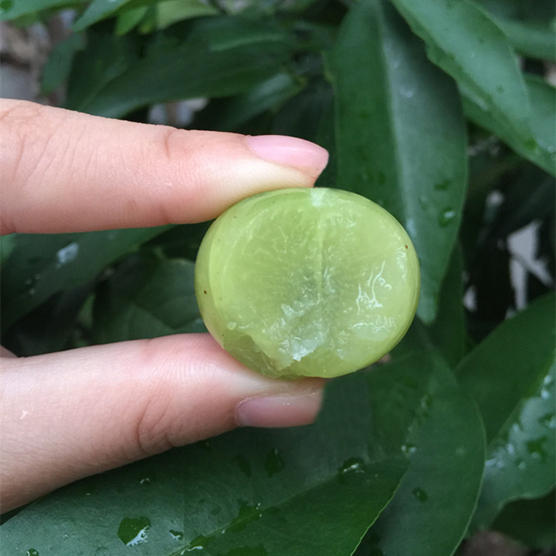 狮头油甘