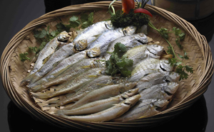 鱼饭